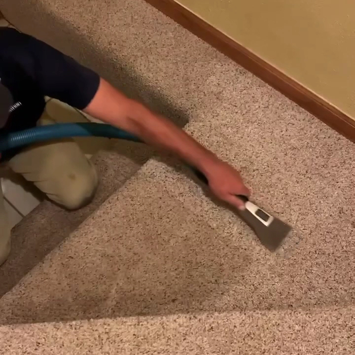 Spots Carpet Care project