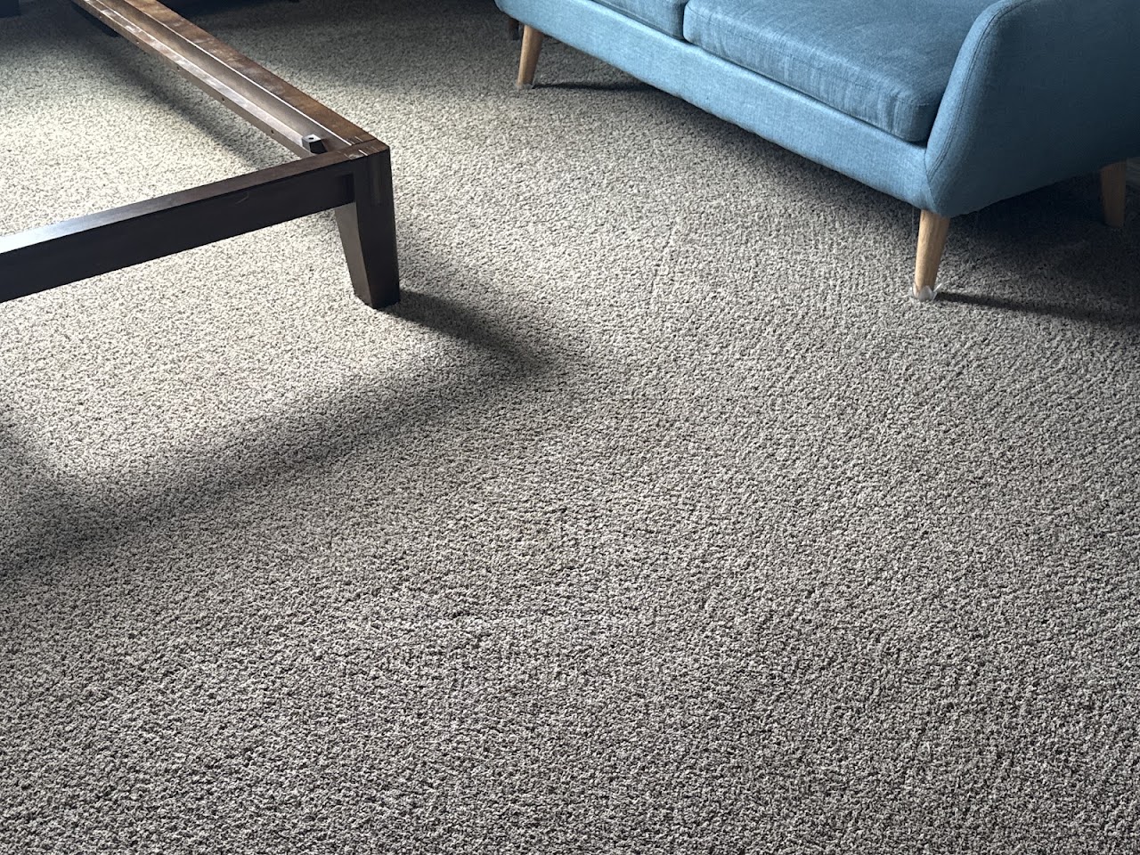 Spots Carpet Care project