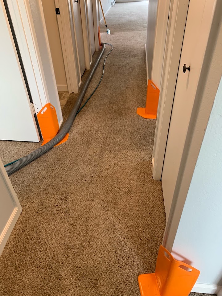 Spots Carpet Care project